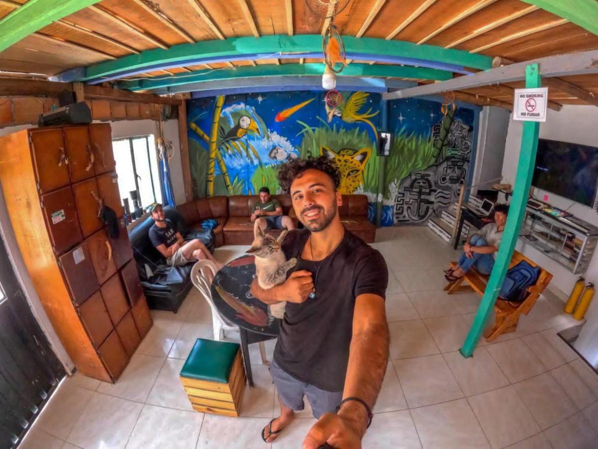 Hostal Musica Y Arte San Agustín المظهر الخارجي الصورة