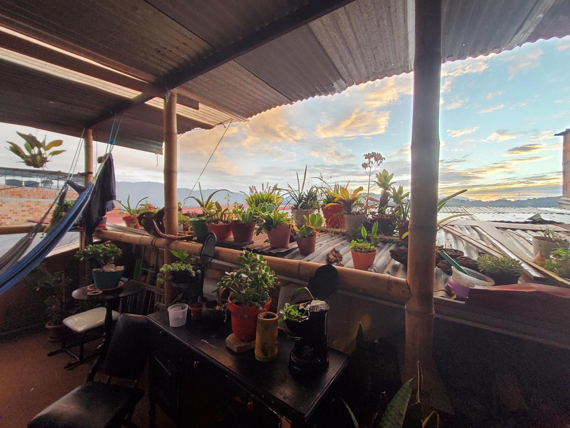 Hostal Musica Y Arte San Agustín المظهر الخارجي الصورة